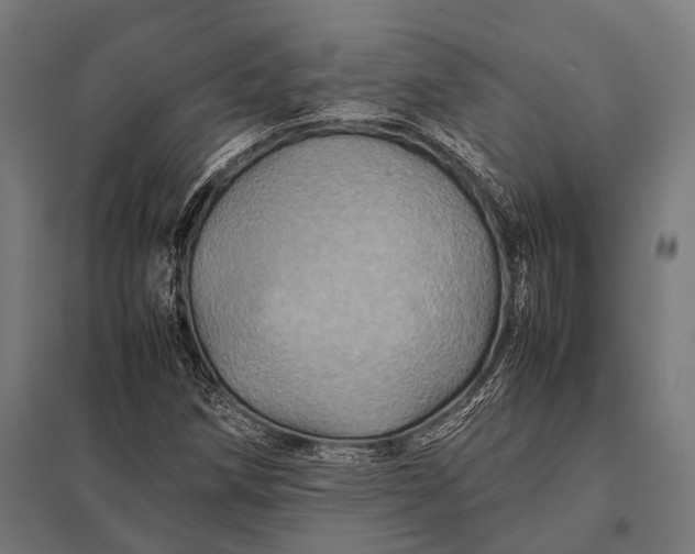 X0000097841258200803281216