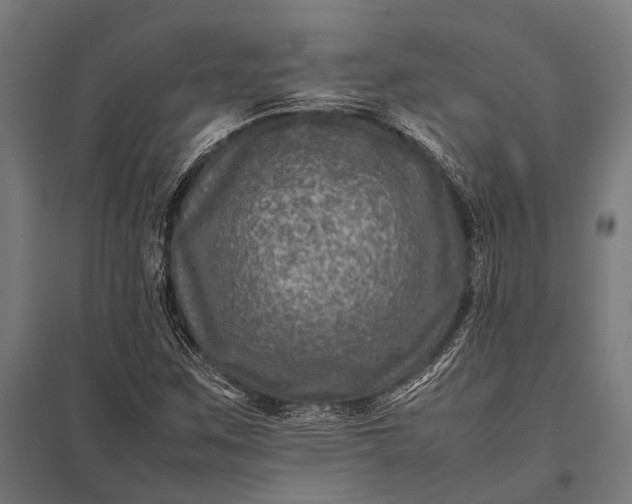 X0000097841259200803281216