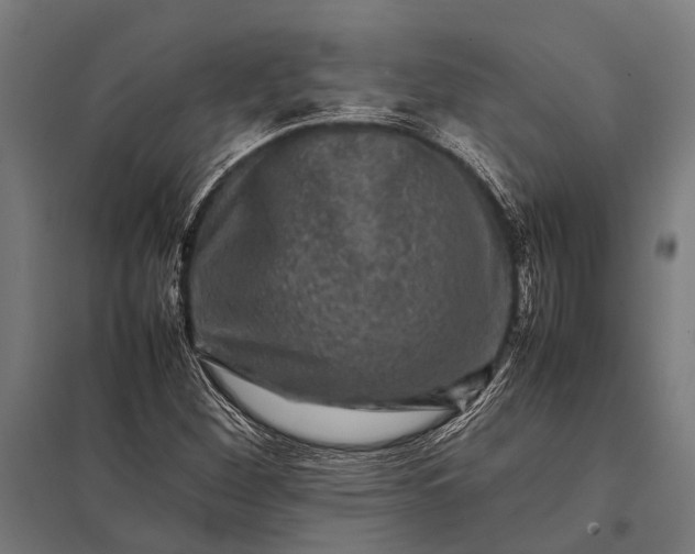 X0000097841260200803281216