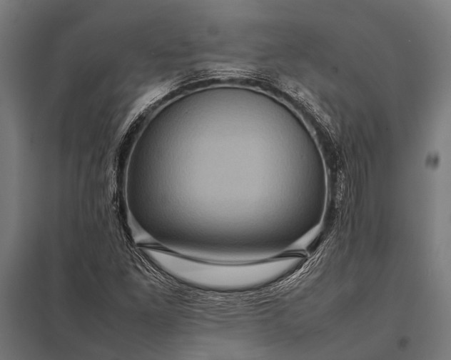 X0000097841261200803281216