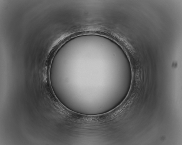 X0000097841262200803281216