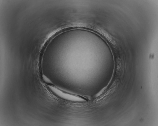 X0000097841264200803281216