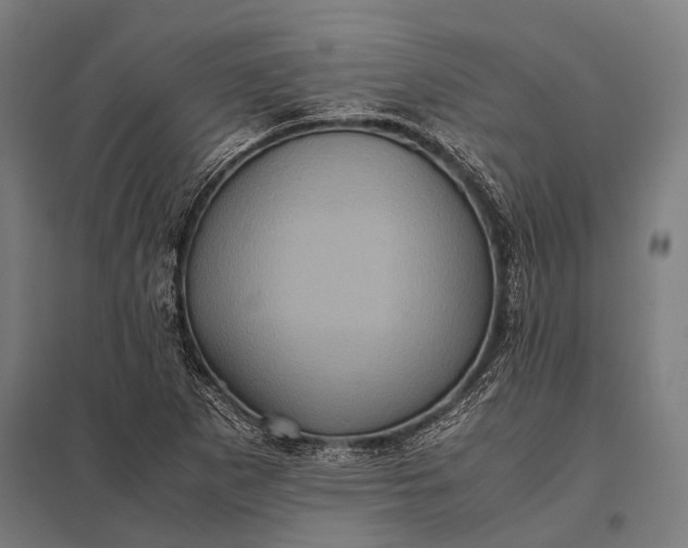 X0000097841265200803281216