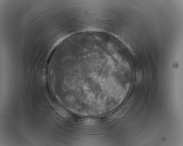 X0000097841266200803281216