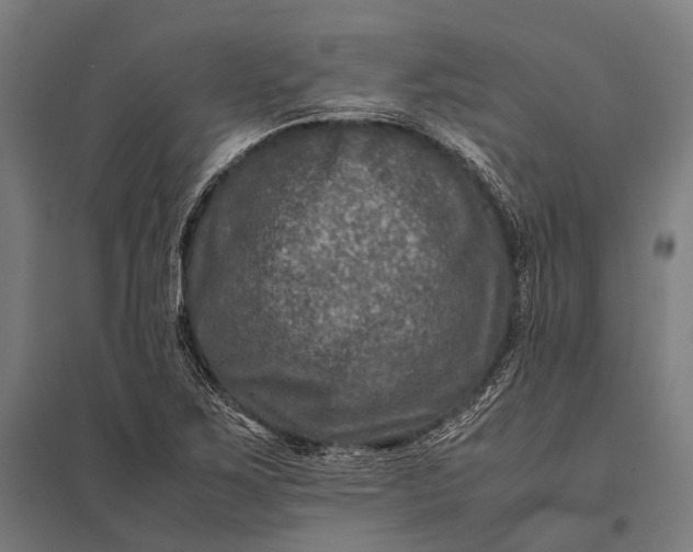 X0000097841267200803281215