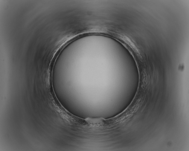 X0000097841268200803281215