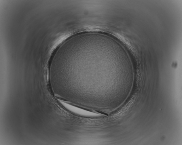 X0000097841269200803281215
