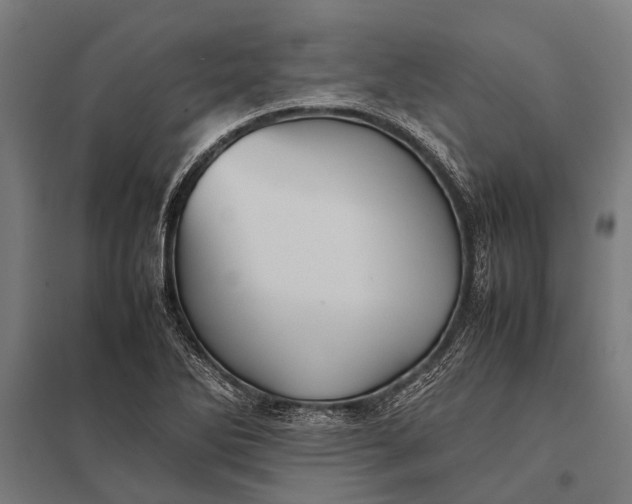 X0000097841270200803281215
