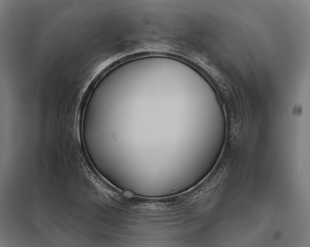 X0000097841272200803281215
