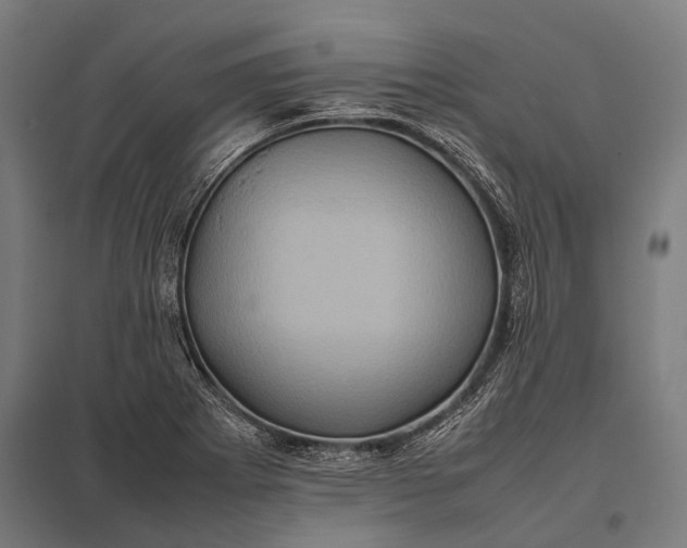 X0000097841273200803281215