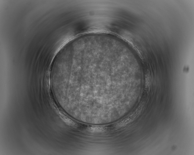X0000097841274200803281215