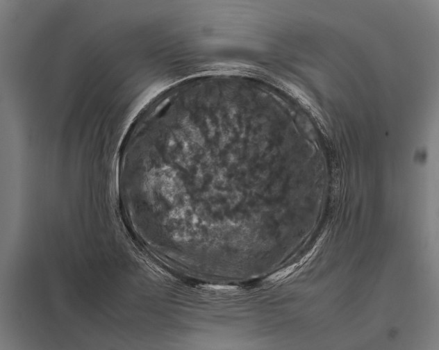 X0000097841275200803281215