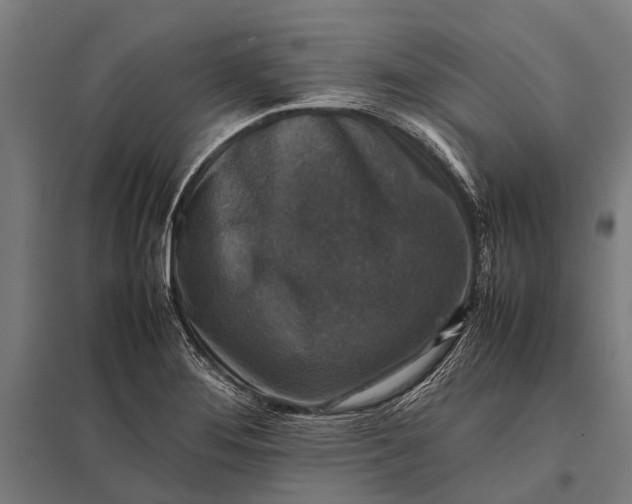 X0000097841276200803281215