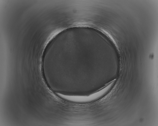 X0000097841277200803281215