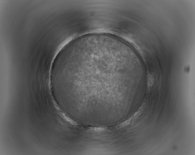 X0000097841278200803281215