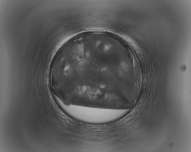 X0000097841279200803281215