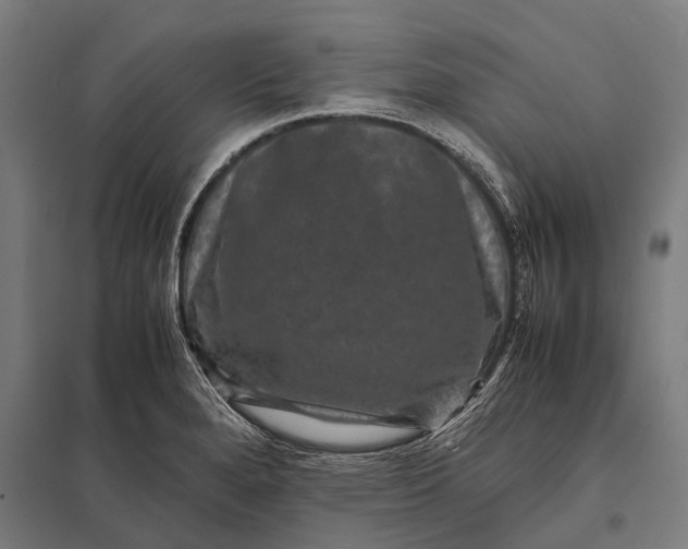X0000097841280200803281215