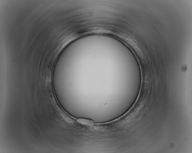 X0000097841281200803281215