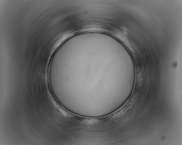 X0000097841282200803281215