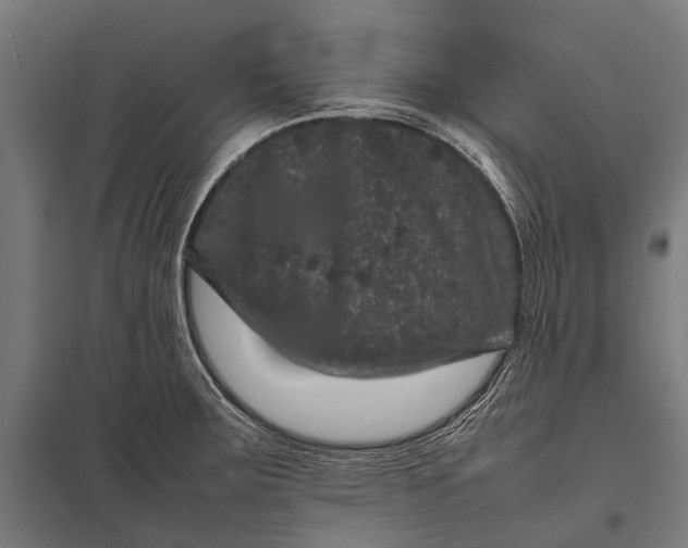 X0000097841283200803281215