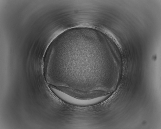 X0000097841284200803281215