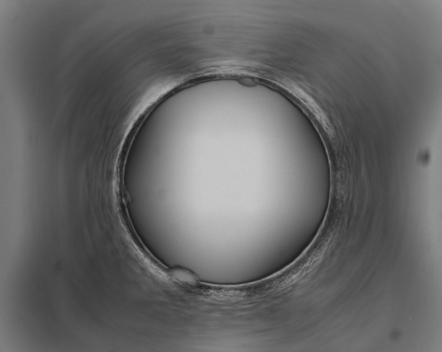 X0000097841285200803281215