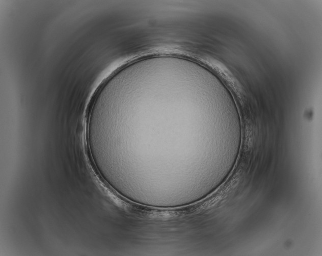 X0000097841286200803281215