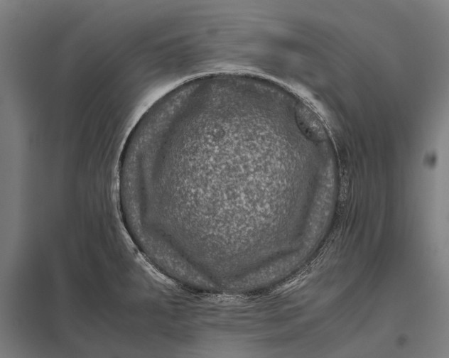 X0000097841287200803281215