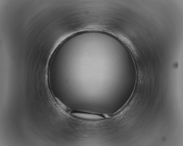 X0000097841288200803281215