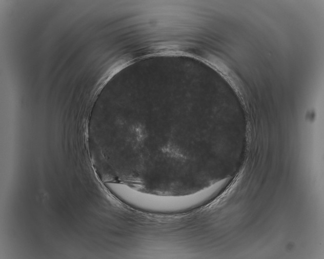 X0000097841289200803281215