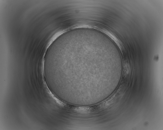 X0000097841290200803281215