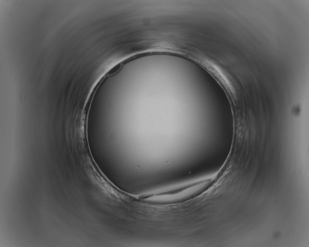 X0000097841292200803281215