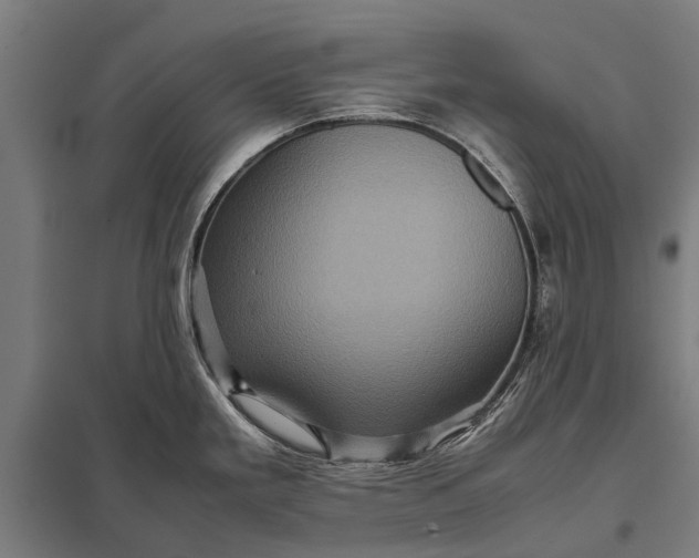 X0000097841293200803281215