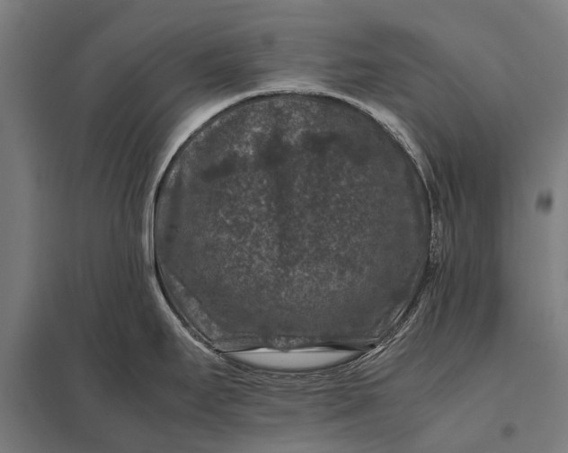 X0000097841295200803281215