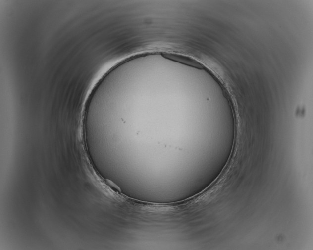 X0000097841296200803281215