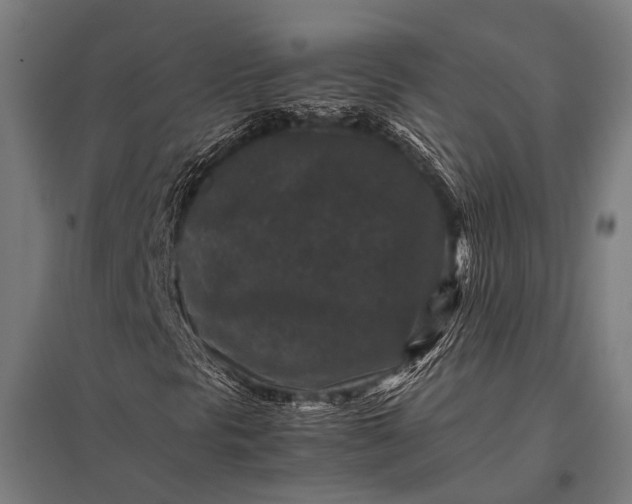 X0000097841297200803281214