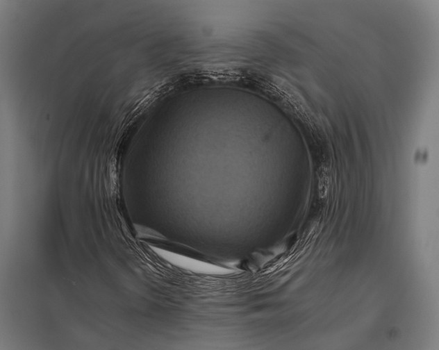 X0000097841298200803281214