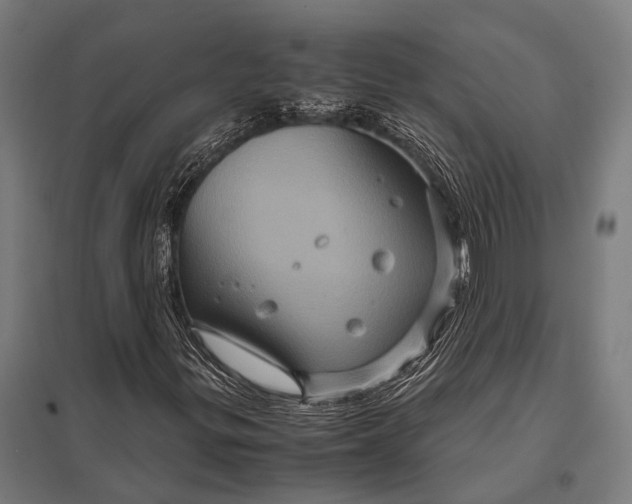 X0000097841299200803281214