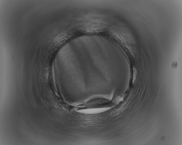 X0000097841300200803281214