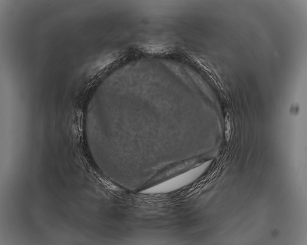 X0000097841301200803281214