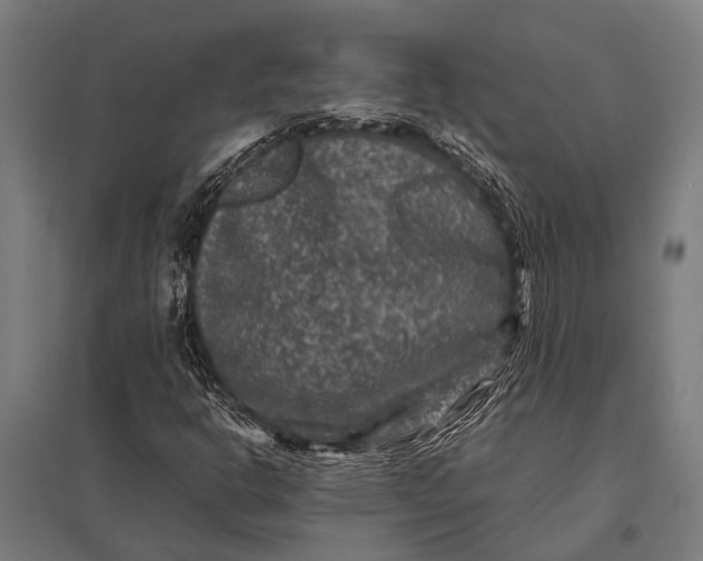 X0000097841302200803281214