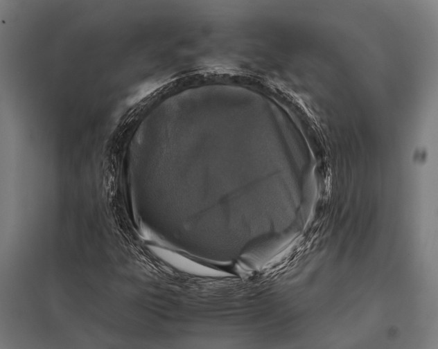 X0000097841303200803281215