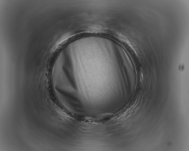 X0000097841304200803281215