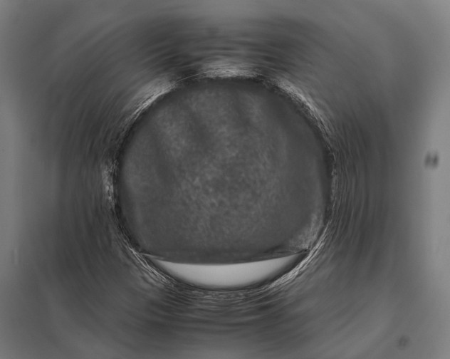 X0000097841305200803281215