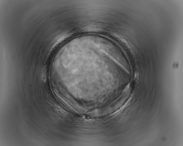 X0000097841306200803281215