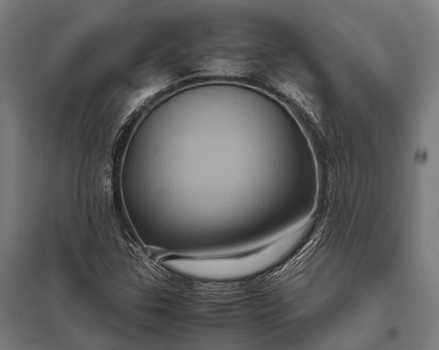 X0000097841307200803281215