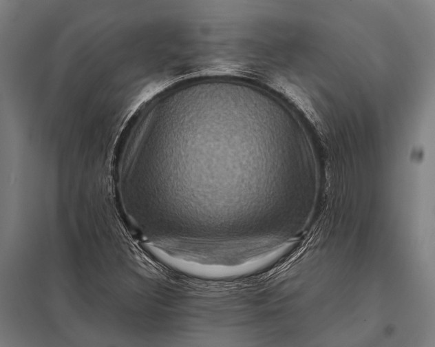 X0000097841308200803281215