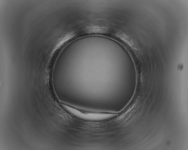 X0000097841309200803281215