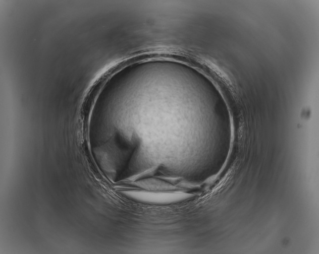 X0000097841310200803281215