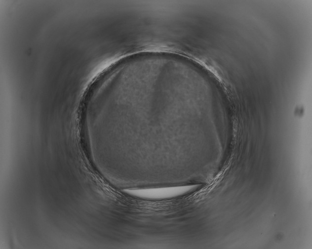 X0000097841311200803281215